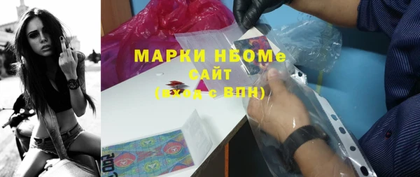 прущие грибы Гусь-Хрустальный