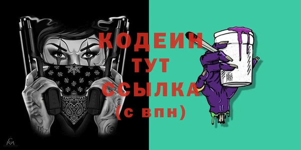 прущие грибы Гусь-Хрустальный