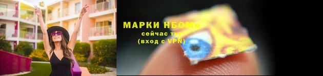 прущие грибы Гусь-Хрустальный
