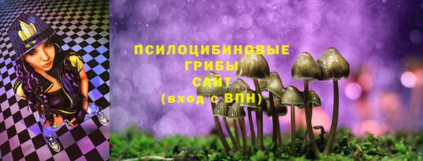 прущие грибы Гусь-Хрустальный