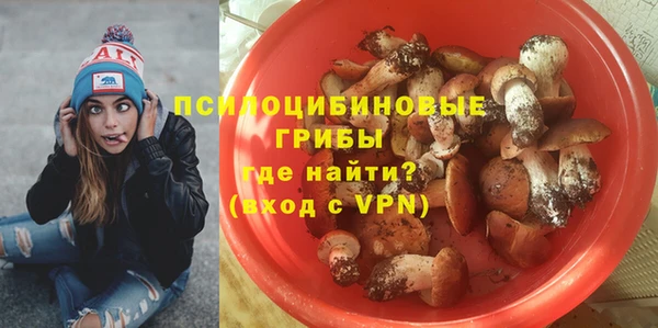 бутират Гусиноозёрск