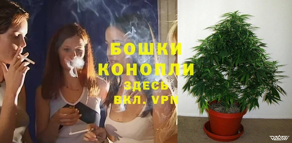 прущие грибы Гусь-Хрустальный