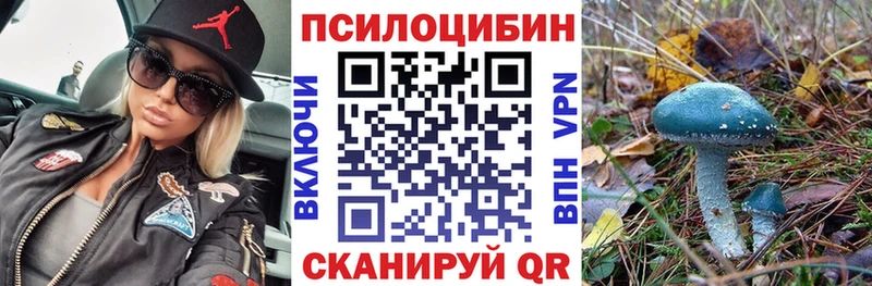 Псилоцибиновые грибы MAGIC MUSHROOMS  Купить где  Камешково 